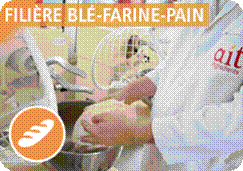 http://www.ait-ingredients.com/var/ait/storage/images/services/fornax/filiere-ble-farine-pain/19704-2-fre-FR/filiere-ble-farine-pain_diaporama_302x213.png